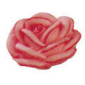 Rose Petal Curved 15mm Icing Nozzle