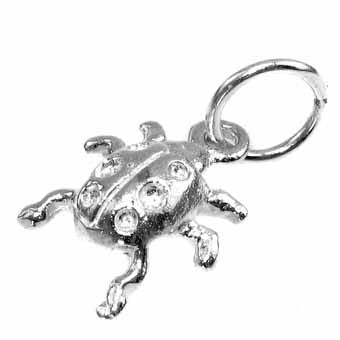 Ladybird Charm
