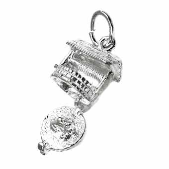 Cat in the Well Charm