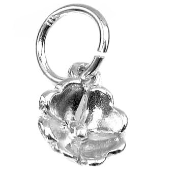 Four Leaf Clover, Medium