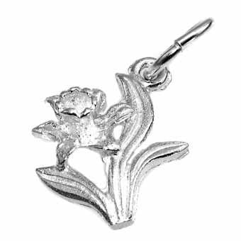 Daffodil Charm