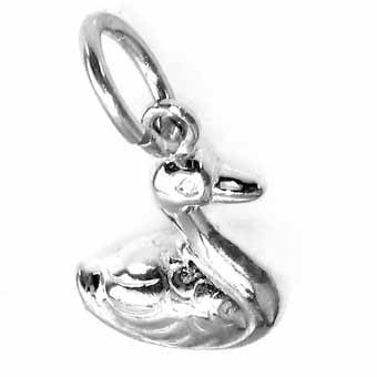 Duck Charm