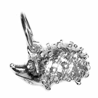 Hedgehog, Medium Charm