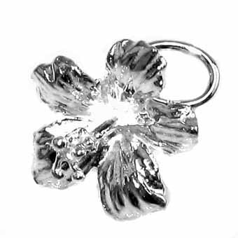 Hibiscus Charm