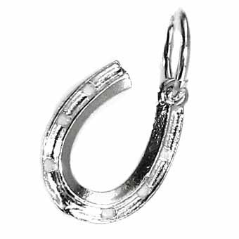 Horseshoe, Holes Charm