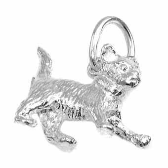 Kitten Charm