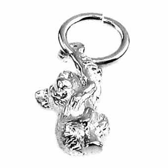 Koala, Tiny Charm