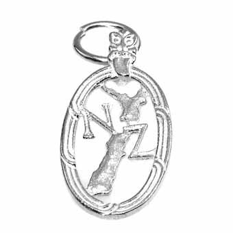 Map of NZ in a Circle Charm