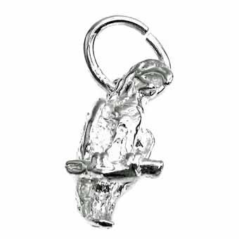 Parrot Charm