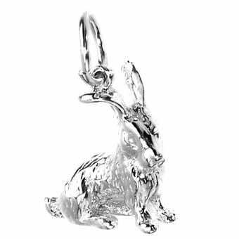 Rabbit, Large