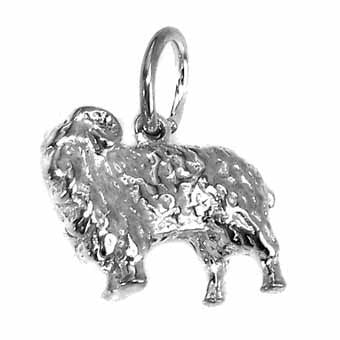 Merino Sheep
