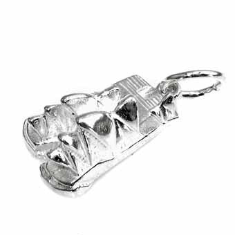 Sydney Opera House Charm