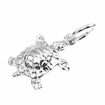 Tortoise, Small Charm