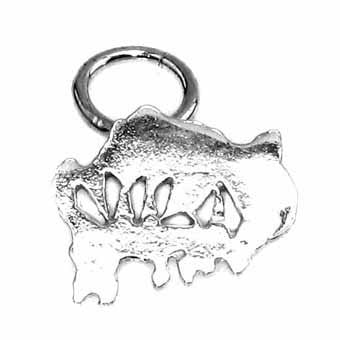 Vila Map Charm