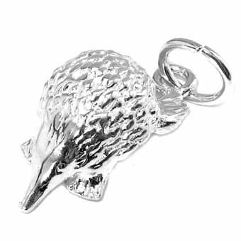 Echidna Charm