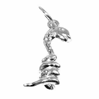 Snake, Coiled Charm