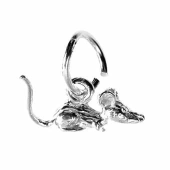Mouse Charm