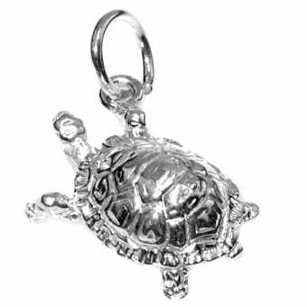 Tortoise, Large Charm