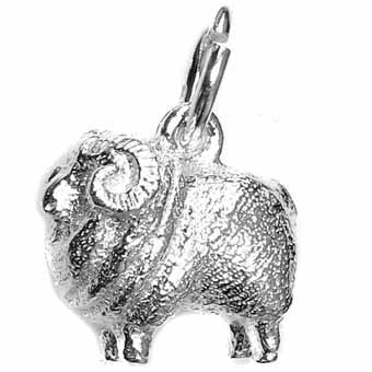 Sheep, Merino Charm