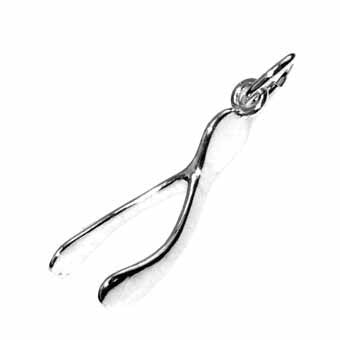 Wishbone Charm