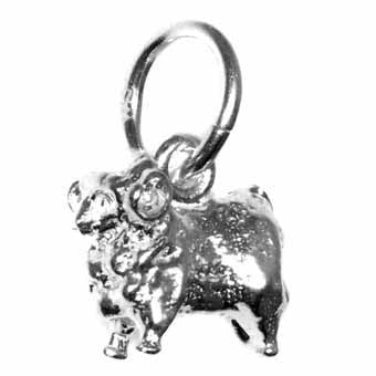 Ram Charm