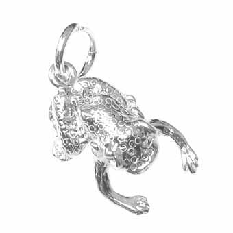 Frog Charm