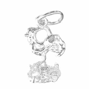 Weathercock Charm