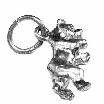 Grizzly Bear Charm