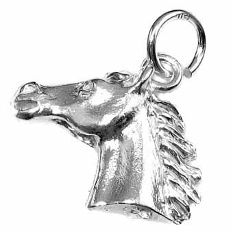Horsehead  Charm