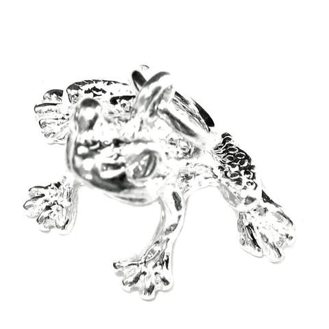 Frog Charm