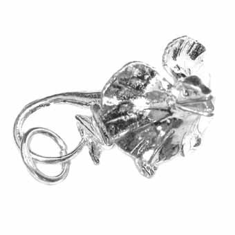Lizard Frill Necked Charm