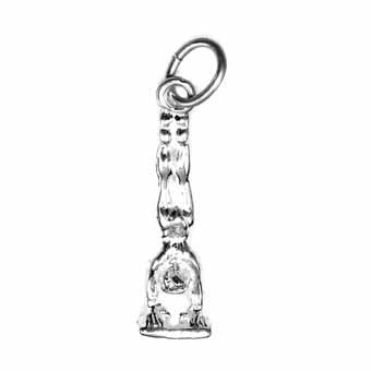 Gymnast Silver Charm