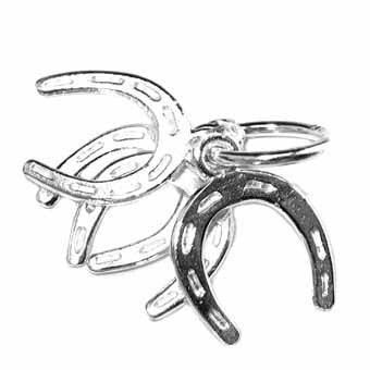Horseshoes Charm