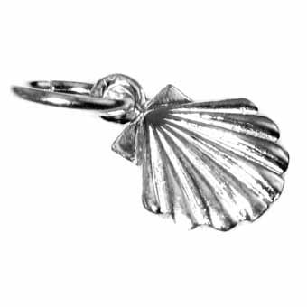 Shell Charm