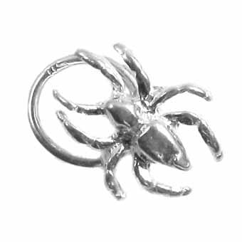 Spider Charm