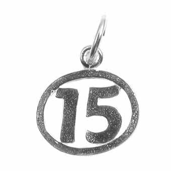 Number 15 in a Circle Charm