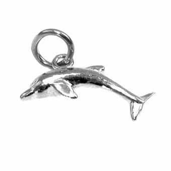 Dolphin, Small Charm