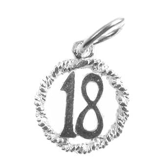 Eighteen in a Circle Charm