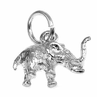 Elephant Charm