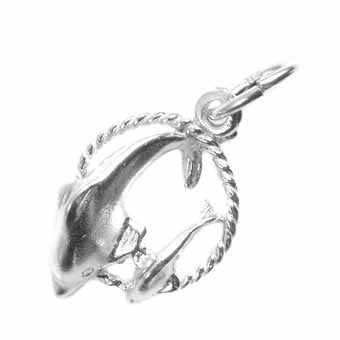 Dolphin Charm