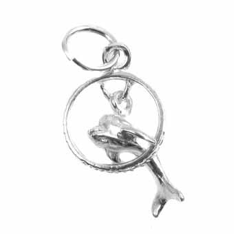 Dolphin Charm