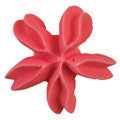 flower blossom icing nozzle 18mm d0039 icing pattern