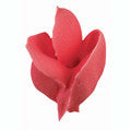 flower petal curved icing nozzle 116 14mm d0057 icing pattern