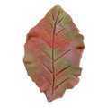 leaf 9cm cookie cutter c1381 cookie