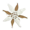snowflake 8cm cookie cutter c1541 cookie